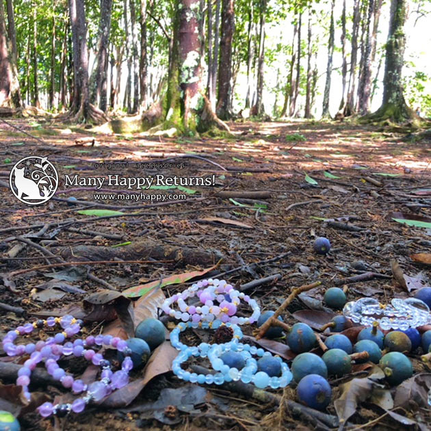 �p���[�X�g�[���u���X���b�g