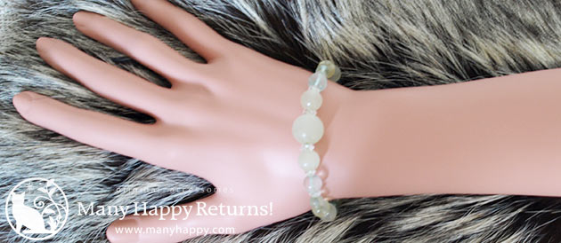 �p���[�X�g�[���u���X���b�g