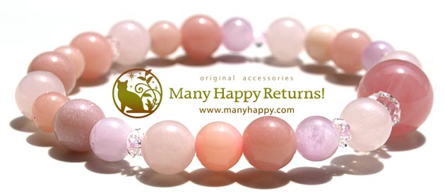 �p���[�X�g�[���u���X���b�g