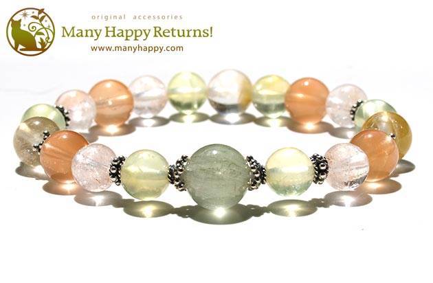 �p���[�X�g�[���u���X