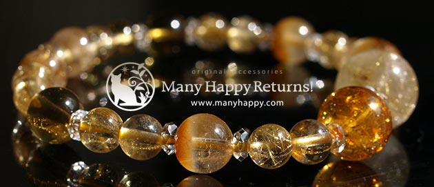 �p���[�X�g�[���u���X���b�g