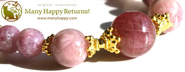 �p���[�X�g�[���u���X���b�g