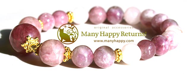 �p���[�X�g�[���u���X���b�g