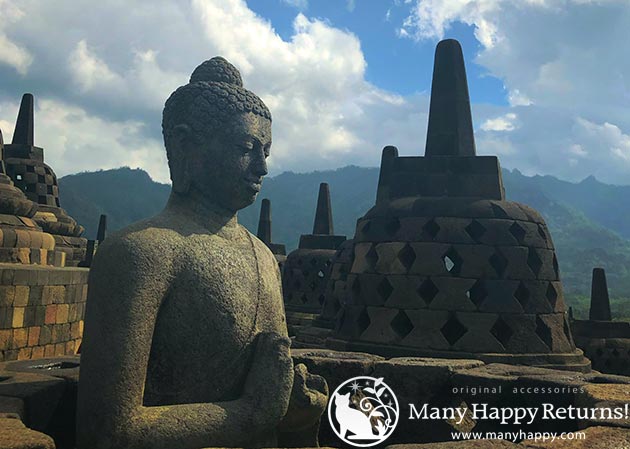 �p���[�X�g�[���u���X���b�g