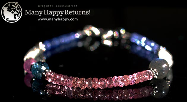 �p���[�X�g�[���u���X���b�g