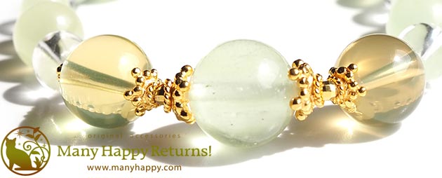 �p���[�X�g�[���u���X���b�g