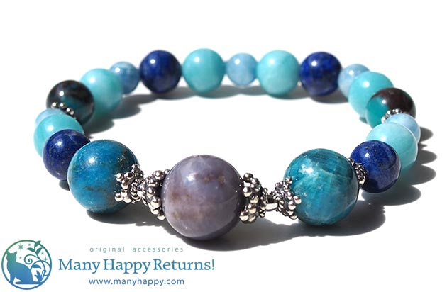 �p���[�X�g�[���u���X