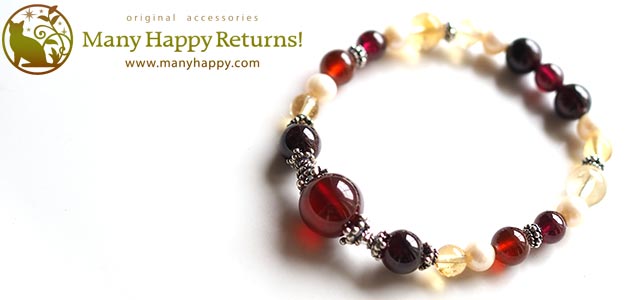 �p���[�X�g�[���u���X���b�g