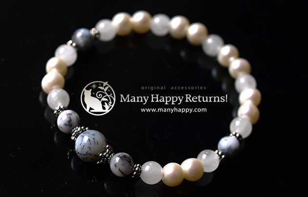 �p���[�X�g�[���u���X���b�g