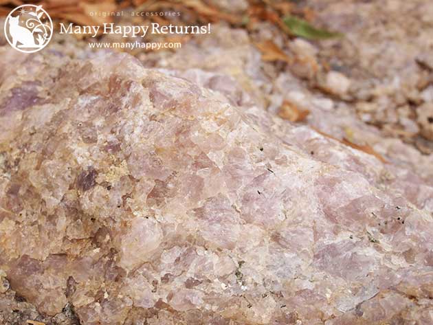 �p���[�X�g�[���u���X���b�g