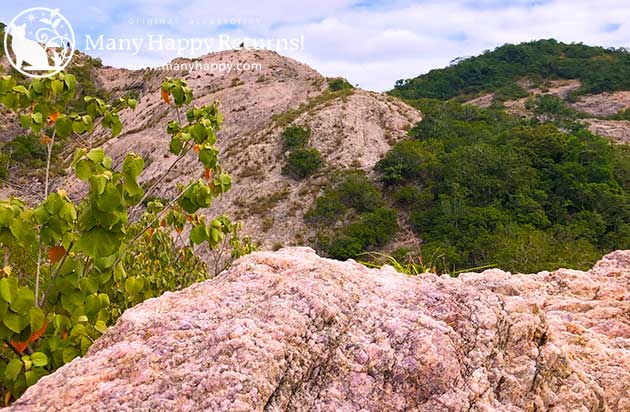 �p���[�X�g�[���u���X���b�g