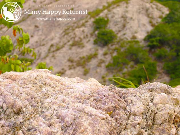 �p���[�X�g�[���u���X���b�g