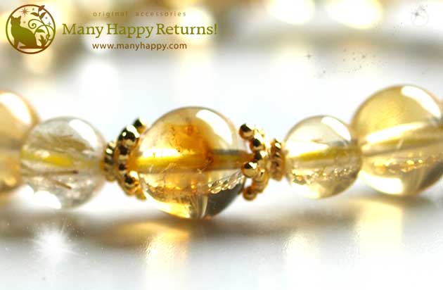 �p���[�X�g�[���u���X���b�g