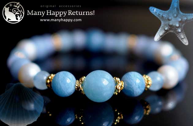 �p���[�X�g�[���u���X���b�g