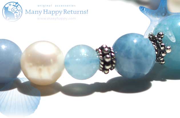 �p���[�X�g�[���u���X���b�g