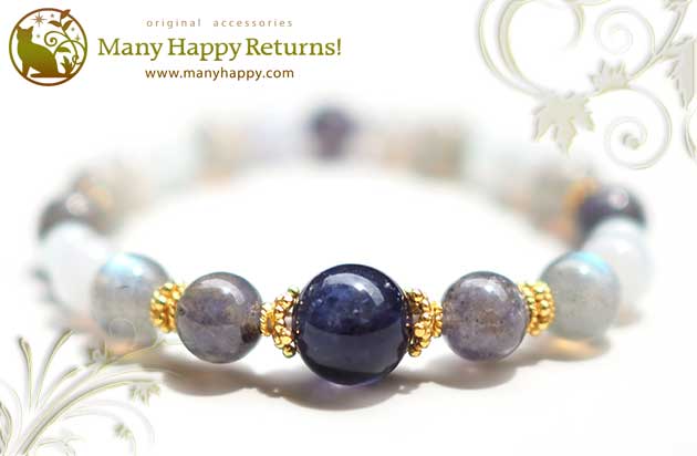 �p���[�X�g�[���u���X