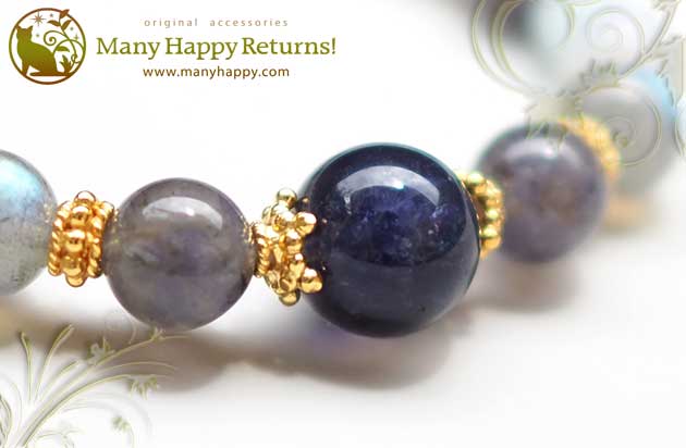 �p���[�X�g�[���u���X���b�g