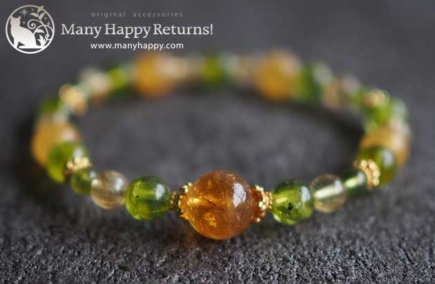 �p���[�X�g�[���u���X���b�g