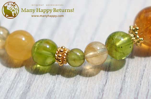 �p���[�X�g�[���u���X���b�g