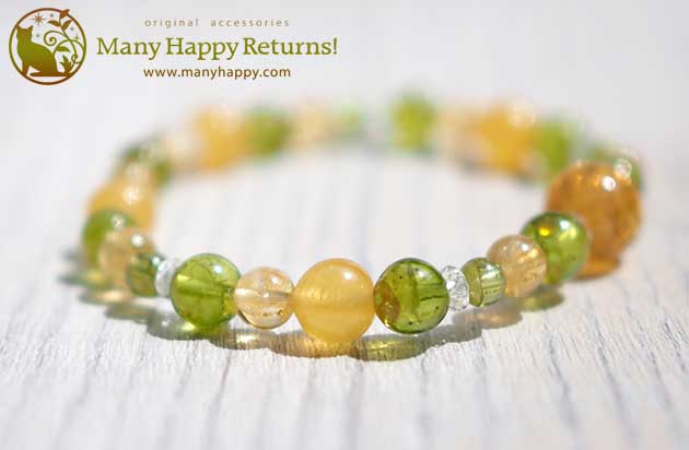 �p���[�X�g�[���u���X���b�g