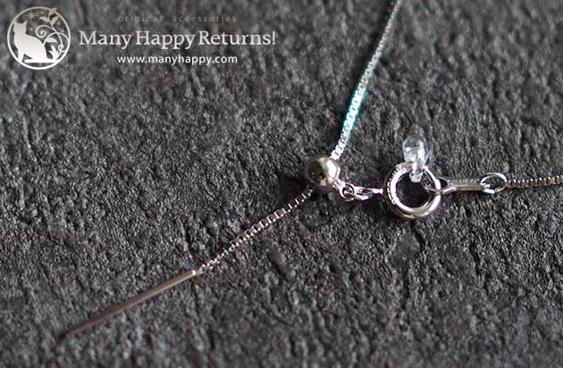 �p���[�X�g�[���u���X���b�g