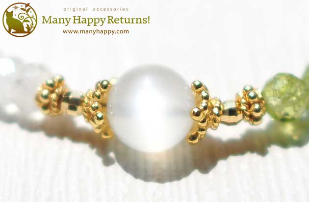 �p���[�X�g�[���u���X���b�g