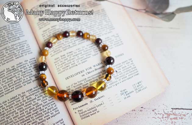 �p���[�X�g�[���u���X���b�g