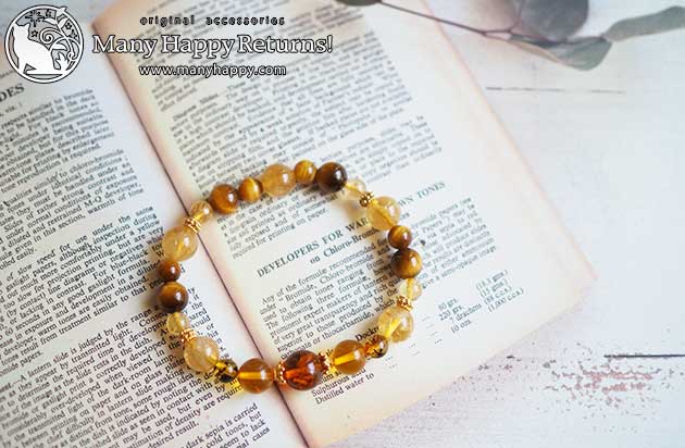 �p���[�X�g�[���u���X���b�g