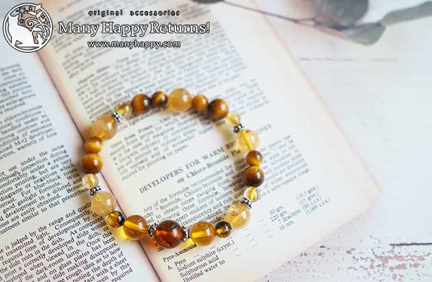 �p���[�X�g�[���u���X���b�g