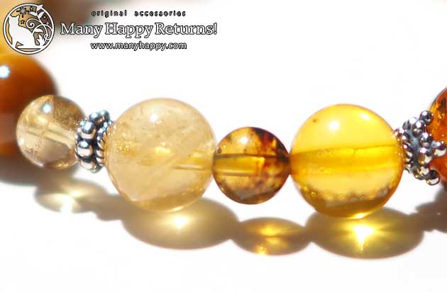 �p���[�X�g�[���u���X���b�g