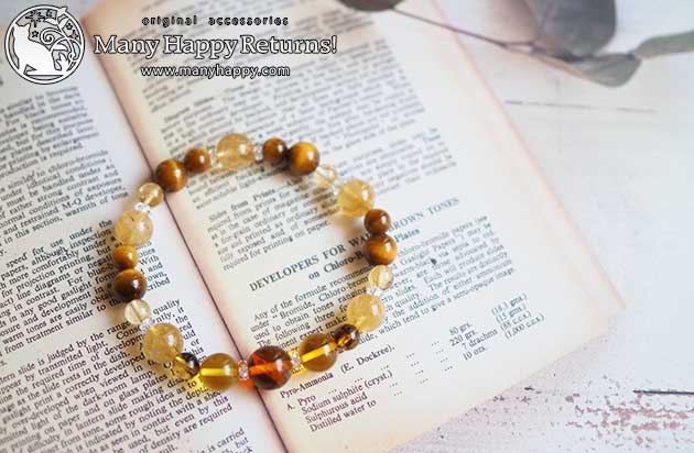 �p���[�X�g�[���u���X���b�g