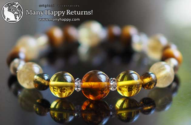 �p���[�X�g�[���u���X���b�g