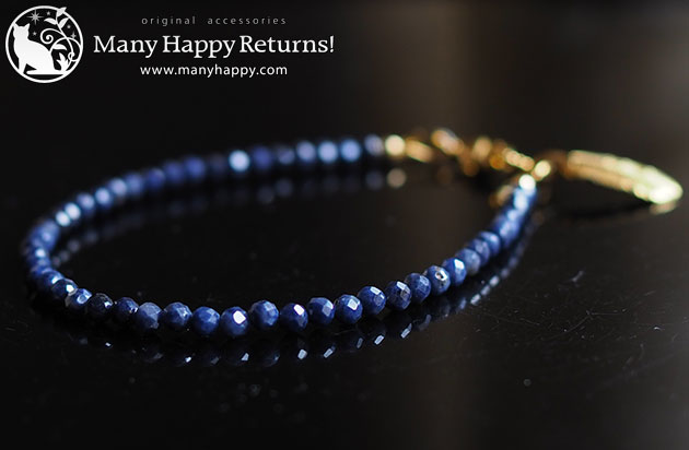 �p���[�X�g�[���u���X���b�g