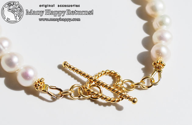 �p���[�X�g�[���u���X���b�g