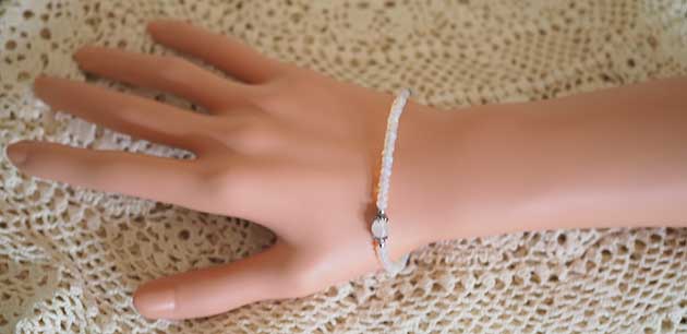 �p���[�X�g�[���u���X���b�g