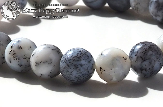 �p���[�X�g�[���u���X���b�g