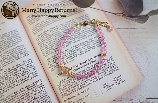 �p���[�X�g�[���u���X���b�g