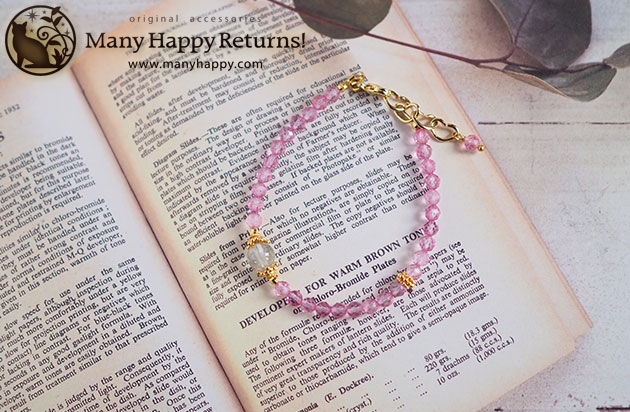 �p���[�X�g�[���u���X���b�g