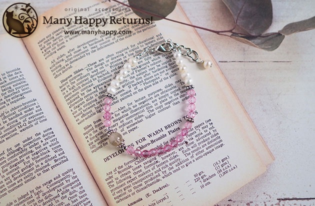 �p���[�X�g�[���u���X���b�g