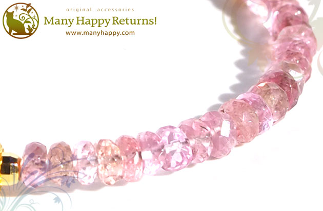 �p���[�X�g�[���u���X���b�g