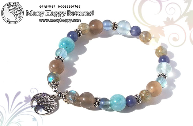 �p���[�X�g�[���u���X���b�g