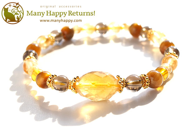 �p���[�X�g�[���u���X