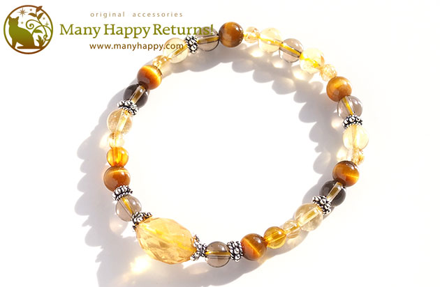 �p���[�X�g�[���u���X���b�g