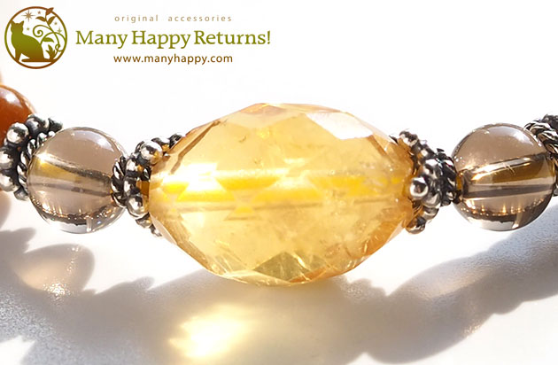 �p���[�X�g�[���u���X���b�g