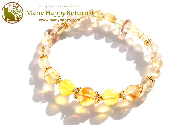 �p���[�X�g�[���u���X���b�g