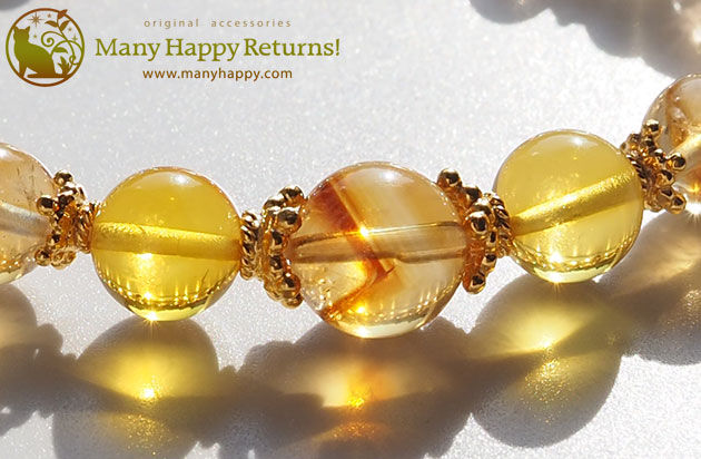 �p���[�X�g�[���u���X���b�g