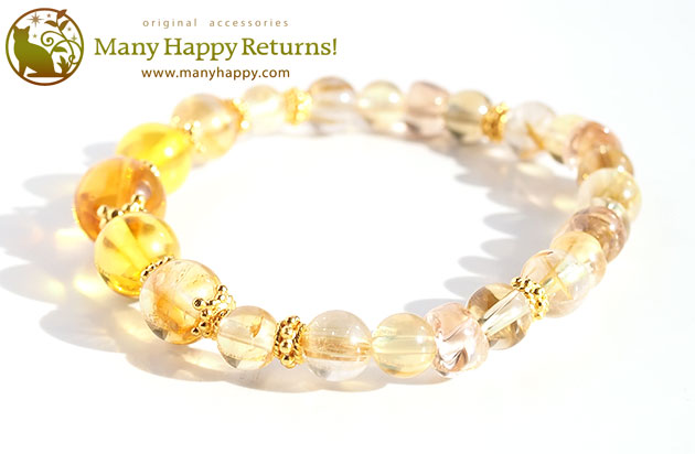 �p���[�X�g�[���u���X���b�g