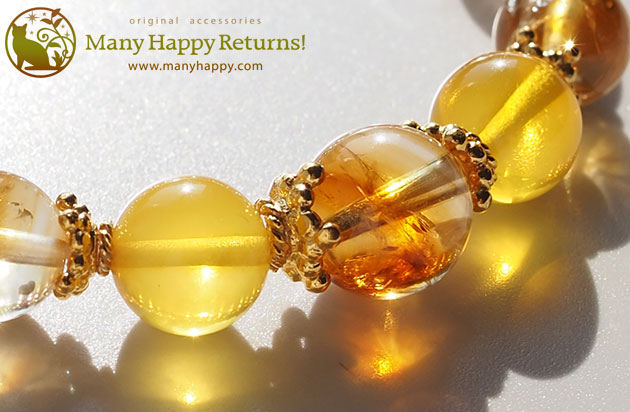 �p���[�X�g�[���u���X���b�g