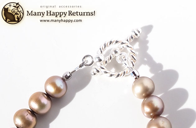 �p���[�X�g�[���u���X���b�g