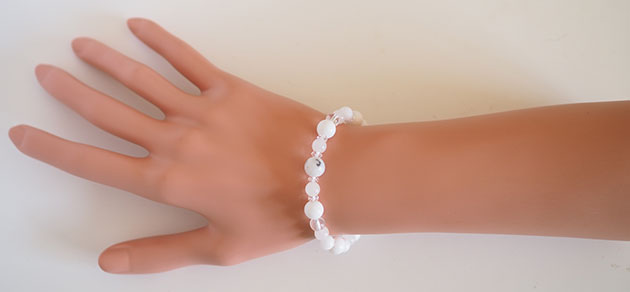 �p���[�X�g�[���u���X���b�g